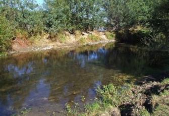 Tuamarina River at State Highway One
