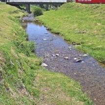 Waitohi Stream