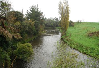 Patea River at Skinner Rd