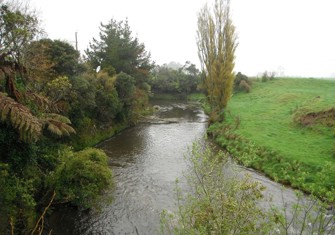 Patea River at Skinner Rd