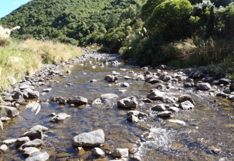 Kahuterawa at Johnstons Rata