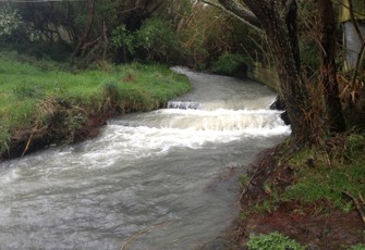 Kumeti at Te Rehunga