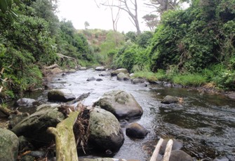 Punehu Stream at SH 45