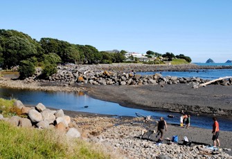 Te Henui