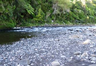 Waiwhakaiho River at Merrilands Domain