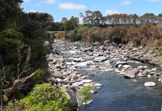 Waiwhakaiho River at SH3