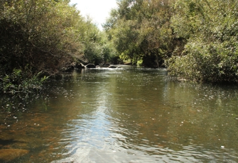 Waingongoro River at Eltham Road Bridge
