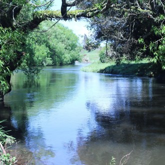 Taranaki region