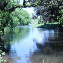 Waingongoro River