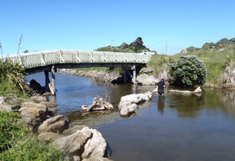 Mowhanau Stream at Footbridge