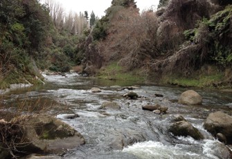 Hautapu at US Rangitikei River Confluence