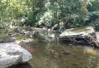 Manakau at S.H.1 Bridge