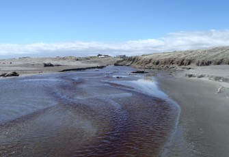 Wairarawa Stream @ Waiterere Beach