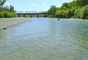 Rangitikei at Kakariki