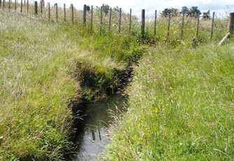 Unnamed Trib of Waipu at us Ratana STP