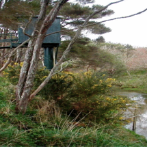 Rangitopuni River
