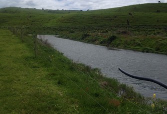 Hokio at Lake Horowhenua 2