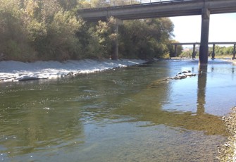 Manawatu at Ngawapurua Bridge