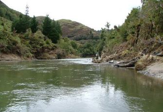 Motu @ Waitangirua