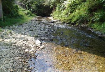 Waikohu @ No. 1 Br.