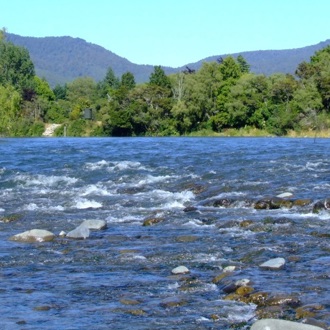 Waikato region