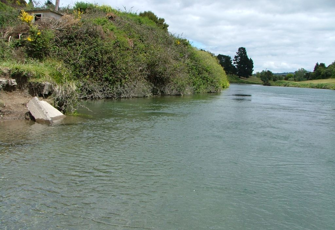 Waikato @ Reids Farm