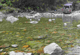 Hutt River at Kaitoke