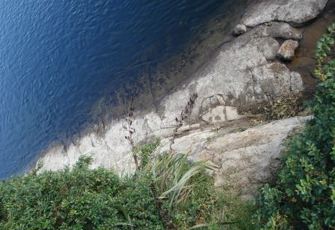 Grey @ Dobson - NIWA