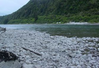 Buller @ Te Kuha