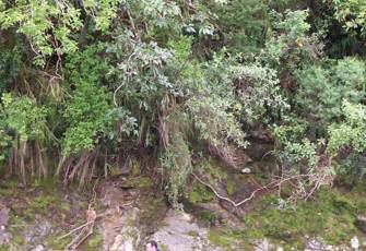 Haparapara River at SH35 Bridge 2