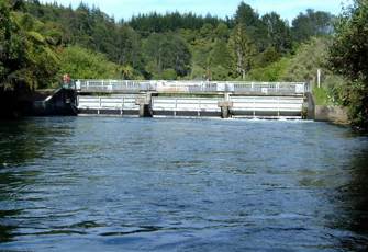 Kaituna at Lake Rotoiti Outlet