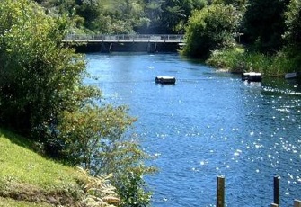 Kaituna at Lake Rotoiti Outlet 2