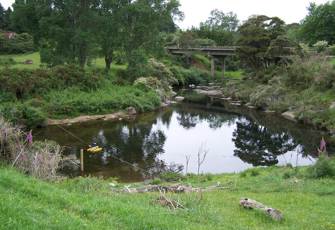 Ngamuwahine at Old Ngamuwahine Bridge 2