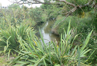 Ngongotahā Town Bridge