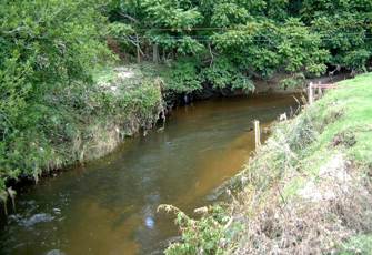 Nukuhou at Glenholme Rd