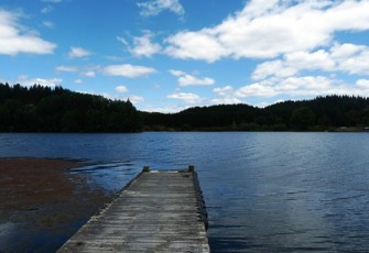 Rangitāiki at Inlet to Āniwaniwa Canal 1