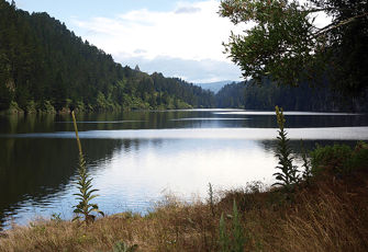 Rangitaiki at Matahina Dam