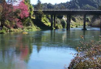 Tarawera at Kawerau Bridge/Boyce Park