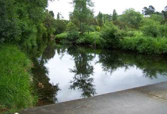 Tuapiro at Surtees Road End (aka Hikurangi Road) 2