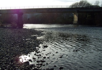 Tauranga River at Taneatua Bridge