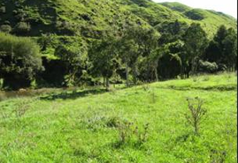 Awakino River at SH3 Junction