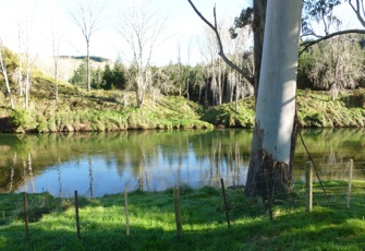 Wairoa d/s of Ruahihi Powerstation