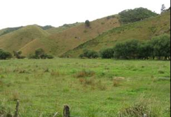 Manganui River off Manganui Road