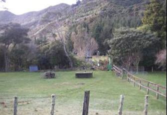 Kauaeranga River Smiths 2