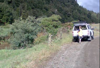 Tawarau River at Off Speedies Rd