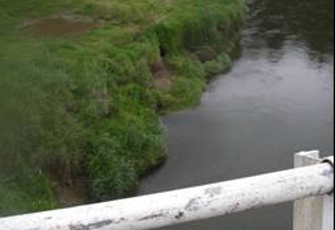 Marokopa River at Speedies Rd (Off Te Anga Rd)
