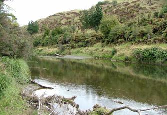 Motu River at Waitangirua