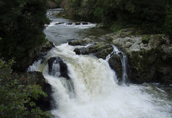 Motu River at Waitangirua 002