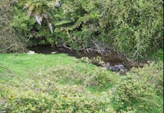 Piakonui Stm at Piakonui Rd