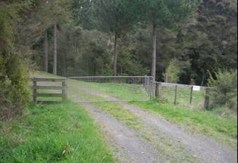 Mangawhero Stm (Kaihere) at Mangawara Rd 2